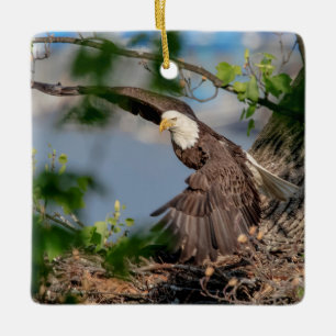 Bald Eagle leaving the nest Ceramic Tree Decoration