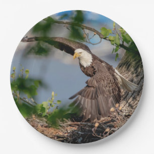 Bald Eagle leaving the nest Paper Plate