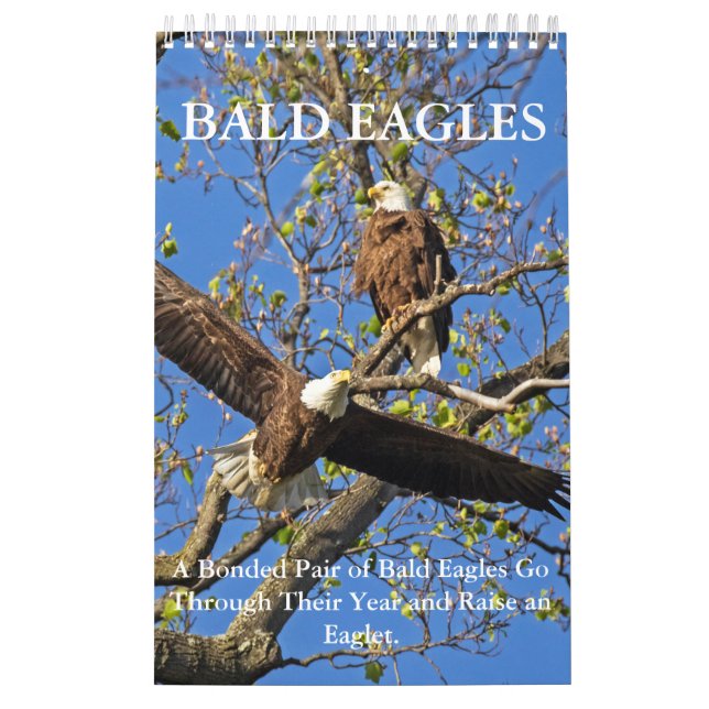 BALD EAGLE LIFE CALENDAR (Cover)