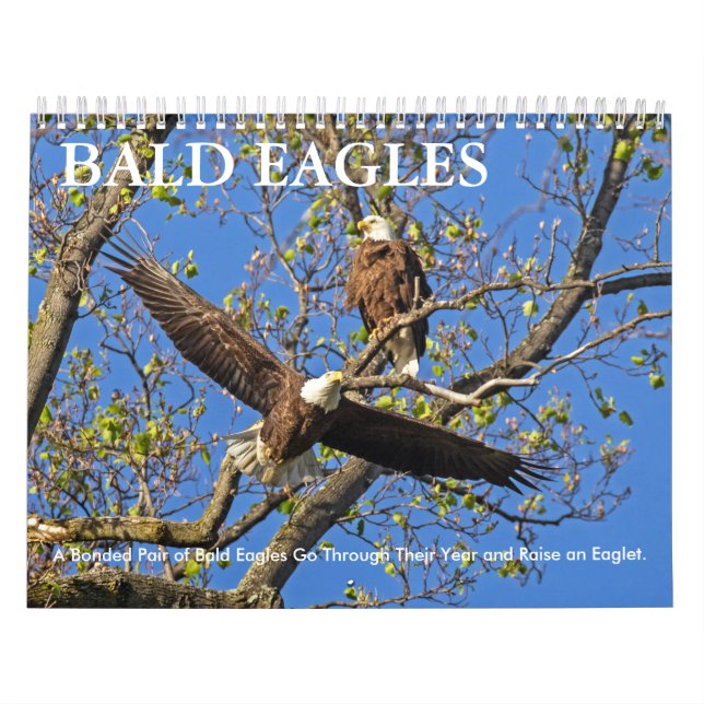 BALD EAGLE LIFE CALENDAR (Cover)