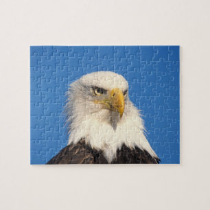 Bald Eagle Look Jigsaw Puzzle
