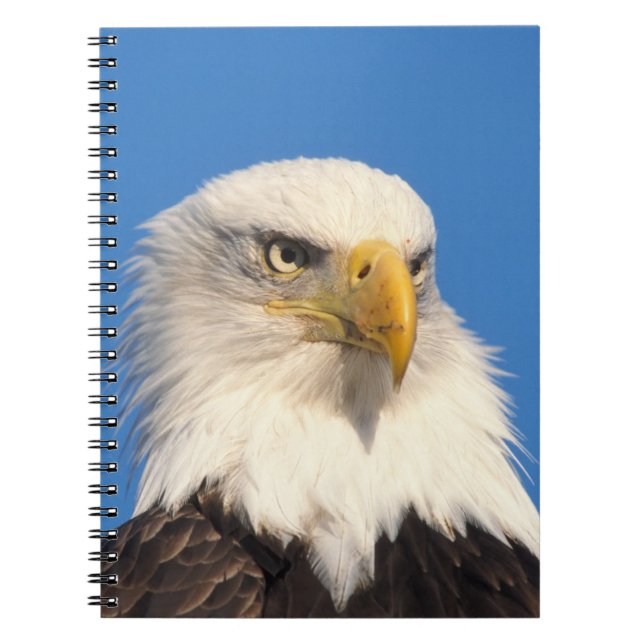 Bald Eagle Look Notebook (Front)