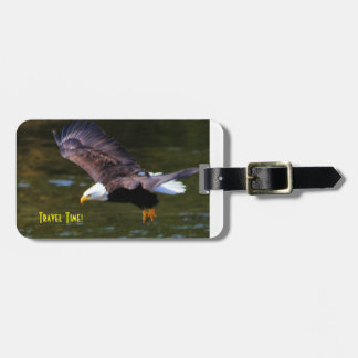 Bald Eagle luggage tag