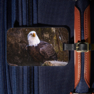 Bald Eagle Luggage Tag