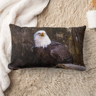 Bald Eagle Lumbar Cushion