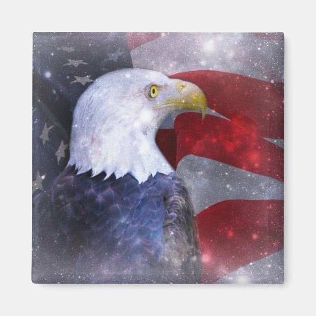 Bald Eagle Magnet (Front)