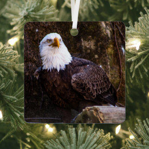 Bald Eagle Metal Tree Decoration