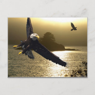Bald Eagle Motivational Gifts Postcard