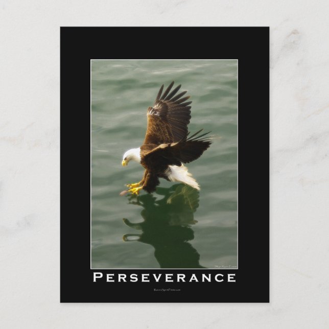 Bald Eagle Motivational Postcards (Front)