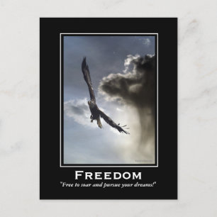 Bald Eagle Motivational Postcards