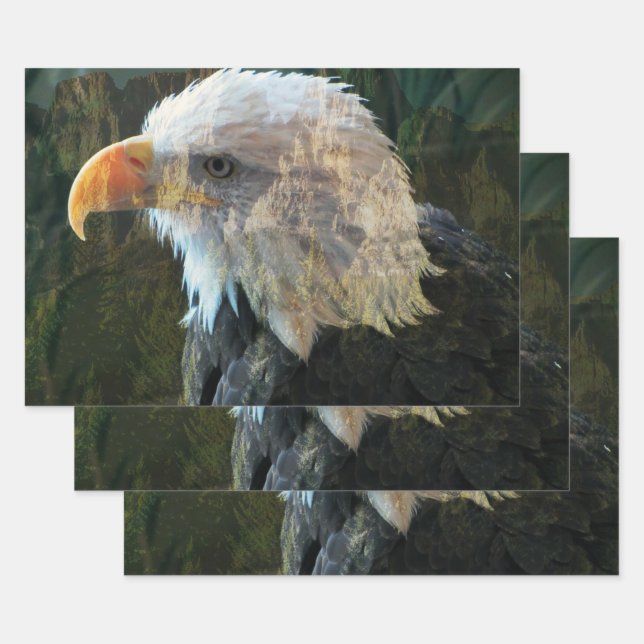 Bald Eagle Mountain Wrapping Paper Sheet (Set)