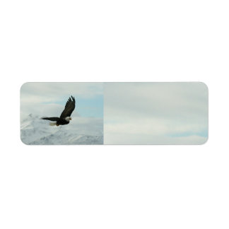 Bald Eagle & mountains Return Address Label