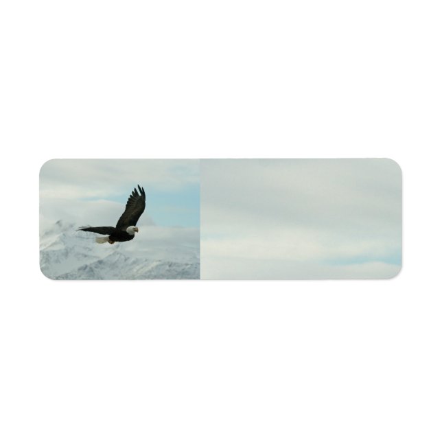 Bald Eagle & mountains Return Address Label (Front)