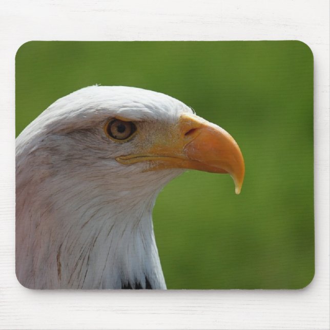 Bald eagle mouse pad (Front)