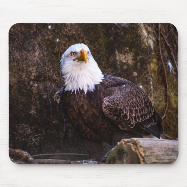 Bald Eagle Mouse Pad (Front)