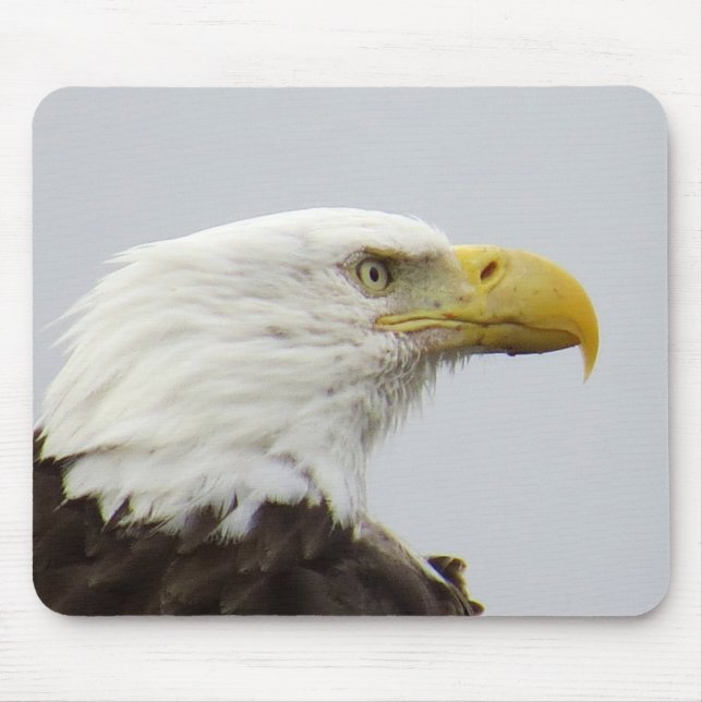 Bald Eagle Mouse Pad (Front)