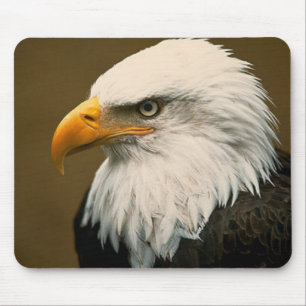 bald eagle mouse pad