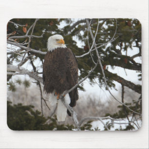 Bald Eagle Mouse Pad