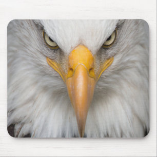 Bald Eagle Mouse Pad