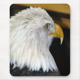 Bald Eagle Mouse Pad