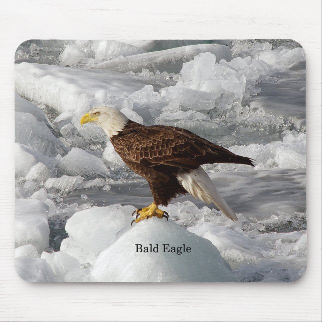 Bald Eagle mousepad (Front)