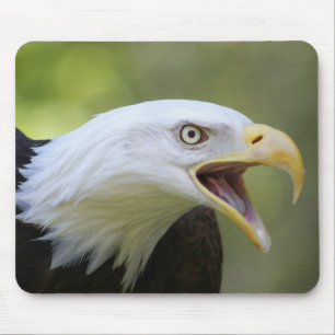 Bald Eagle mousepad