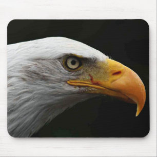 Bald Eagle mpa Mouse Pad