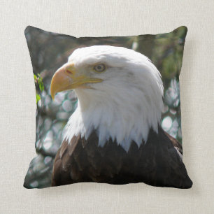 Bald Eagle - National Bird Of The United States Cushion