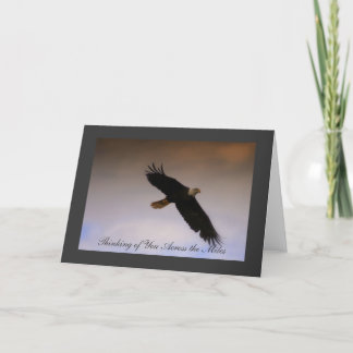 Bald Eagle Note Card