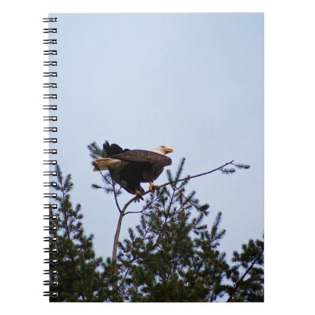 Bald Eagle Notebook (Front)