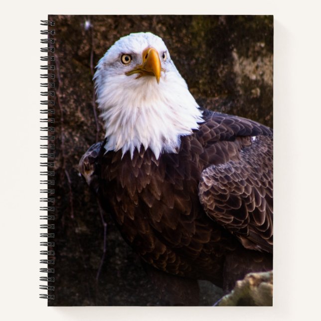 Bald Eagle Notebook (Front)