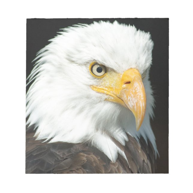 Bald Eagle Notepad (Front)