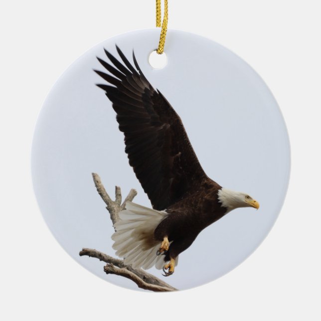 Bald Eagle of Columbiana Ohio Ornament (Front)