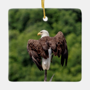 Bald Eagle on a branch Ceramic Ornament