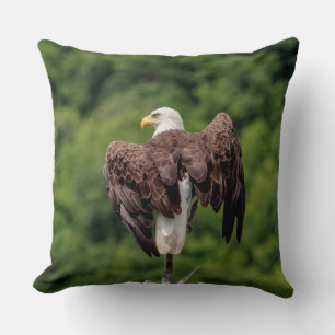 Bald Eagle on a branch Cushion
