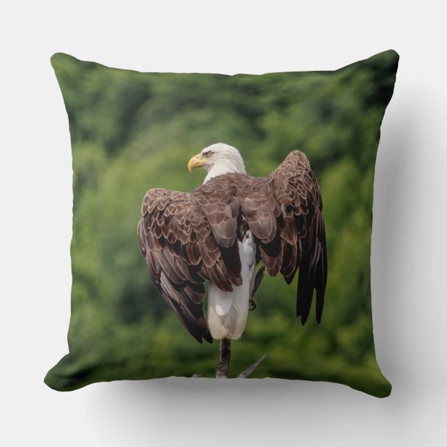 Bald Eagle on a branch Cushion (Front)