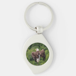 Bald Eagle on a branch Key Ring