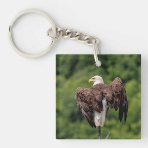 Bald Eagle on a branch Key Ring