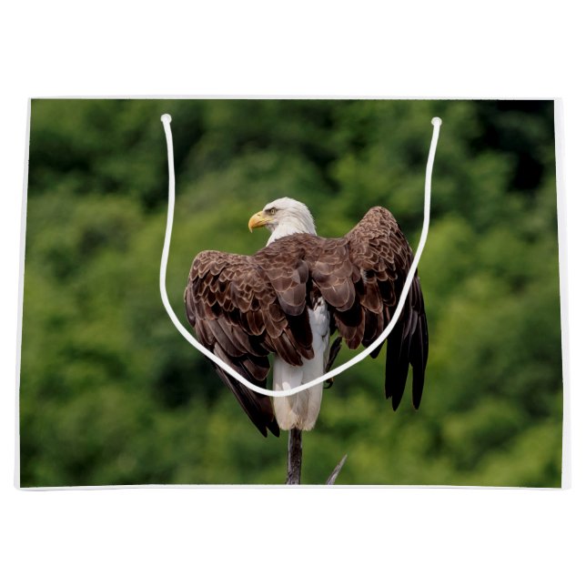 Bald Eagle on a branch Large Gift Bag (Front)