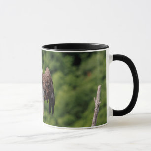 Bald Eagle on a branch Mug