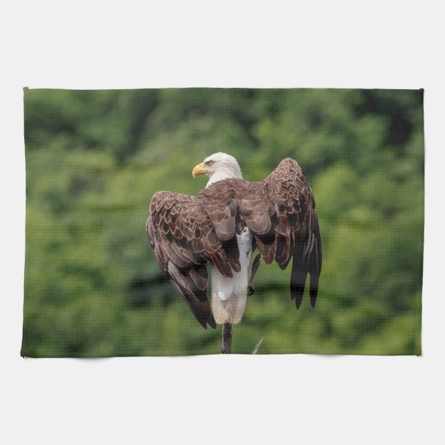 Bald Eagle on a branch Tea Towel (Horizontal)