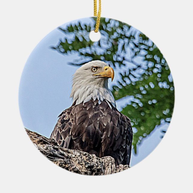 Bald Eagle on a tree branch Ceramic Ornament (Front)