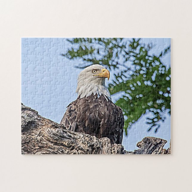 Bald Eagle on a tree branch Jigsaw Puzzle (Horizontal)