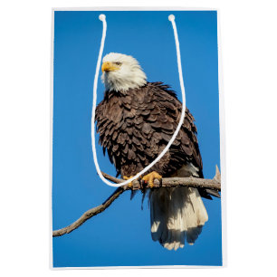 Bald Eagle on a tree branch Medium Gift Bag