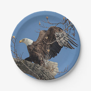 Bald Eagle on a tree branch Paper Plate