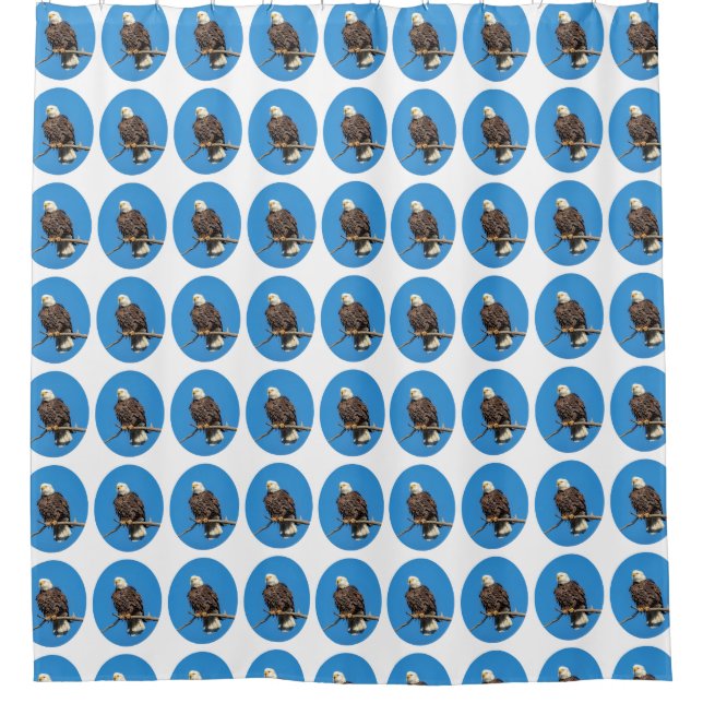 Bald Eagle on a tree branch Shower Curtain (Front)