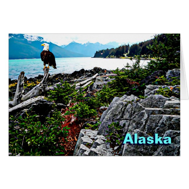 Bald Eagle On Alaska Coast (Front Horizontal)