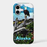 Bald Eagle On Alaska Coast