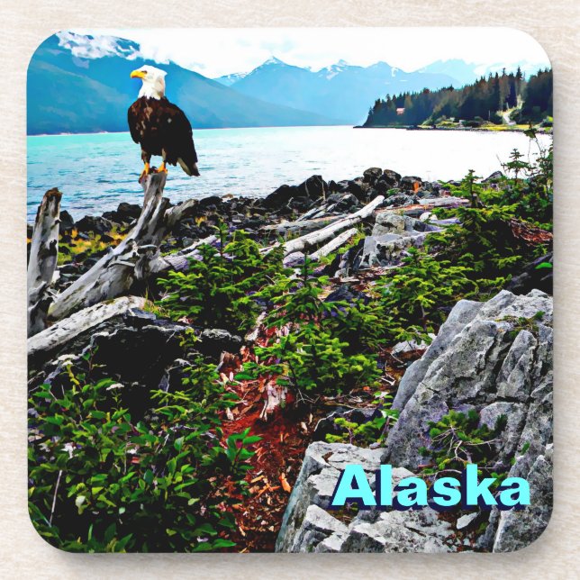 Bald Eagle On Alaska Coast Coaster (Front)