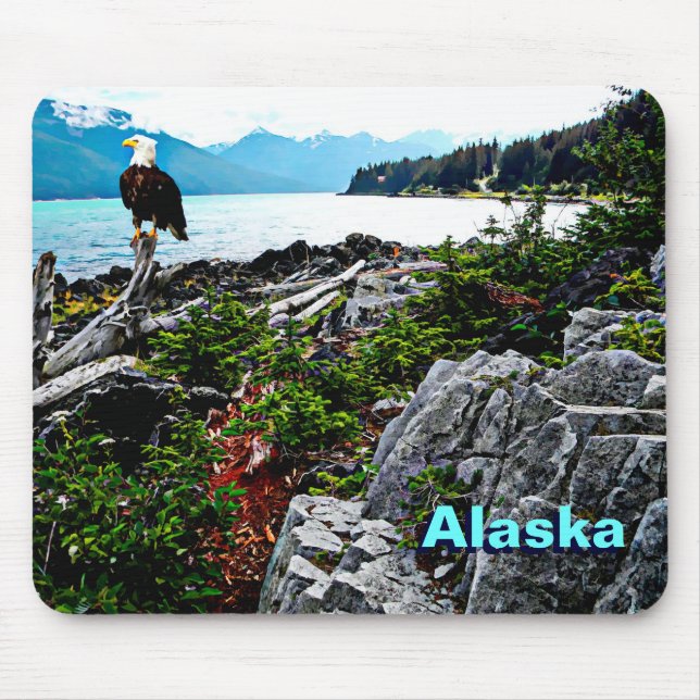 Bald Eagle On Alaska Coast Mouse Pad (Front)